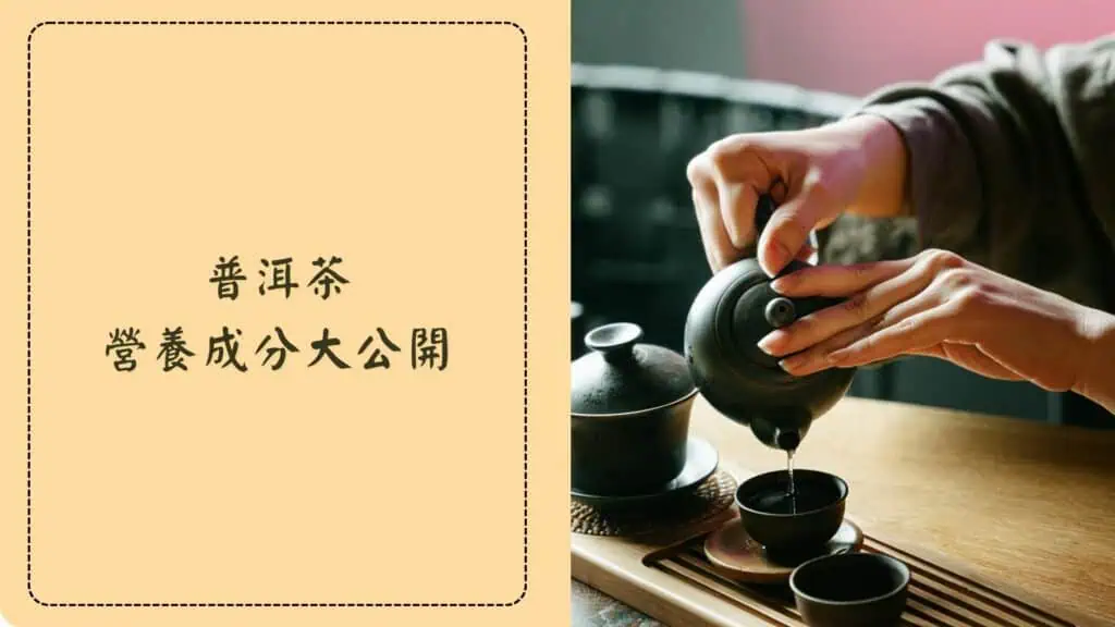普洱茶營養成份大公開