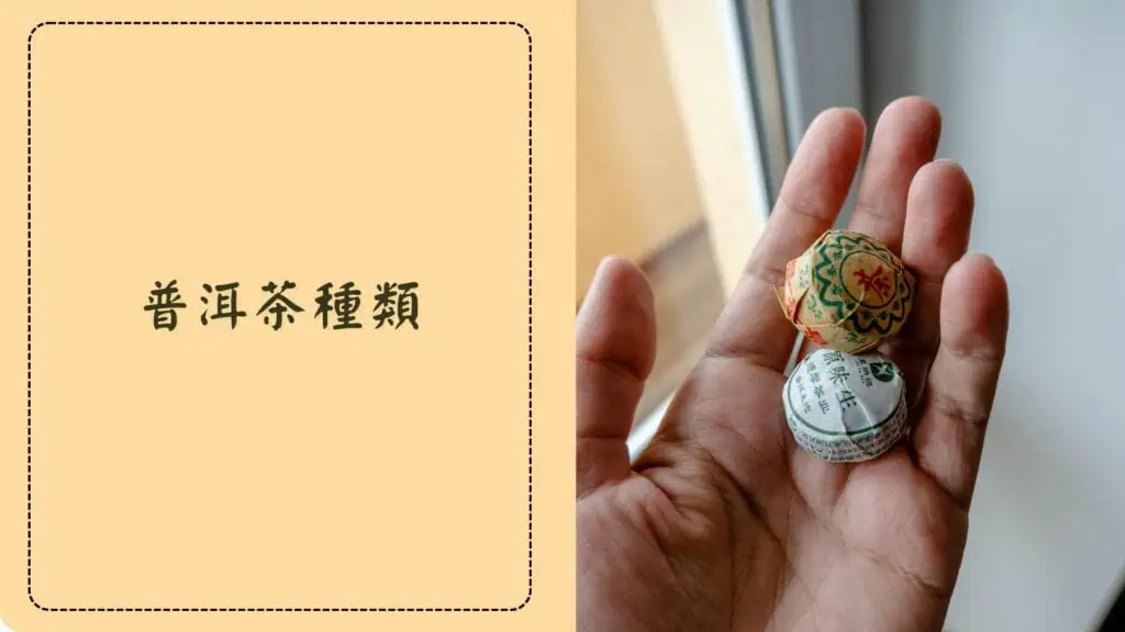 普洱茶種類