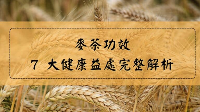 麥茶功效 7個好處完整解析